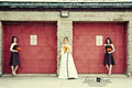 Dawn Boyce Wedding Photography in London Ontario image 4