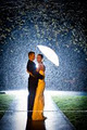 Delmore Creative Windsor Wedding Photography image 1