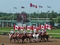 Fort Erie Racetrack Slots image 2