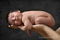 Honeybourne Studio Baby Photography image 6