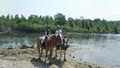 HorsePlay Niagara image 1