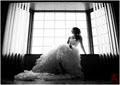 JT Images | Award Winning Calgary Wedding Photography logo