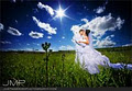 Just Married Photography Inc. (Calgary) image 2