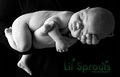 Lil Sprouts Photography image 4