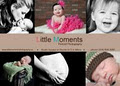 Little Moments Portrait Photography logo