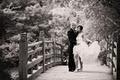 Milton / Toronto Wedding Photographer in GTA - Lisa Mark Photography image 4