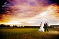 Milton / Toronto Wedding Photographer in GTA - Lisa Mark Photography logo