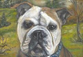 Pet Portraits by Wendy Law image 2