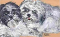 Pet Portraits by Wendy Law image 5