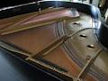 Rickey Mann Piano Tuning & Repair image 2