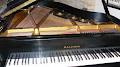 Rickey Mann Piano Tuning & Repair image 1