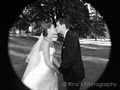 Rina's Photography image 6