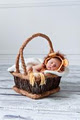 Robin's Nest Photography | Brantford Hamilton Newborn & Maternity Photographer image 2