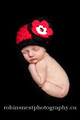 Robin's Nest Photography | Brantford Hamilton Newborn & Maternity Photographer image 3