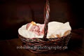 Robin's Nest Photography | Brantford Hamilton Newborn & Maternity Photographer image 4
