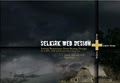 Selkirk Web Design image 2