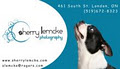 Sherry Lemcke Photography image 2