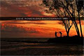 Steve Pomerleau Photography image 5