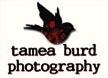 Tamea Burd Photography - Vancouver, BC logo
