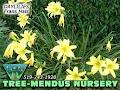 Tree-Mendus Nursery & Garden Centre image 4