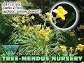 Tree-Mendus Nursery & Garden Centre image 6
