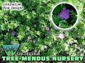 Tree-Mendus Nursery & Garden Centre logo