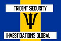 Trident Security & Investigations Global image 6