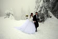 Vancouver Wedding Photographer - Angela Hubbard Photography image 6