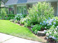 Visual Impact Landscaping image 1