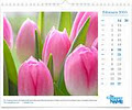 7calendars image 2