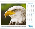 7calendars image 4