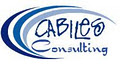 Cabiles Consulting image 2