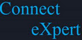 Connect Expert logo