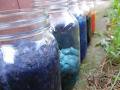 Gaspereau Valley Fibres - Yarn Shop image 2