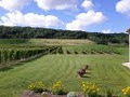 Gaspereau Vineyards image 1