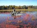 Iroquois Cranberry Growers image 1