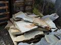 Island Stone & Landscape Supplies image 2