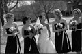 Julie Johnson Photography-Vine Images Inc. image 4