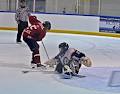 Lasalle Minor Hockey image 5
