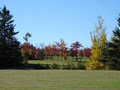 Maplewood Golf & Country Club image 3