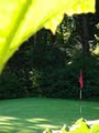 Murdo Fraser Par 3 Golf Course image 1