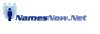 NamesNow.Net Consulting logo