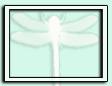 ODONATA Healing & Teaching Reiki Services logo