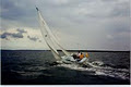 SeaChalk Sailing School image 3