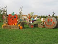 Shantzholm Pumpkins image 5