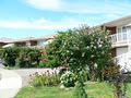 Sheppard W Neighbourhood Assoc image 3