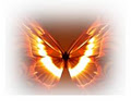 Soul Solutions logo
