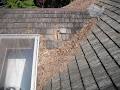 South West Roof Restoration & Maintenance image 4