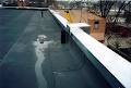 Southwinds Roofing Ltd. image 3