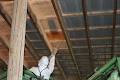 Spraytek Spray Foam Insulation and roofing systems image 4